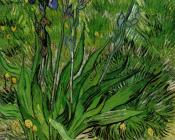 文森特 威廉 梵高 : 鸢尾花